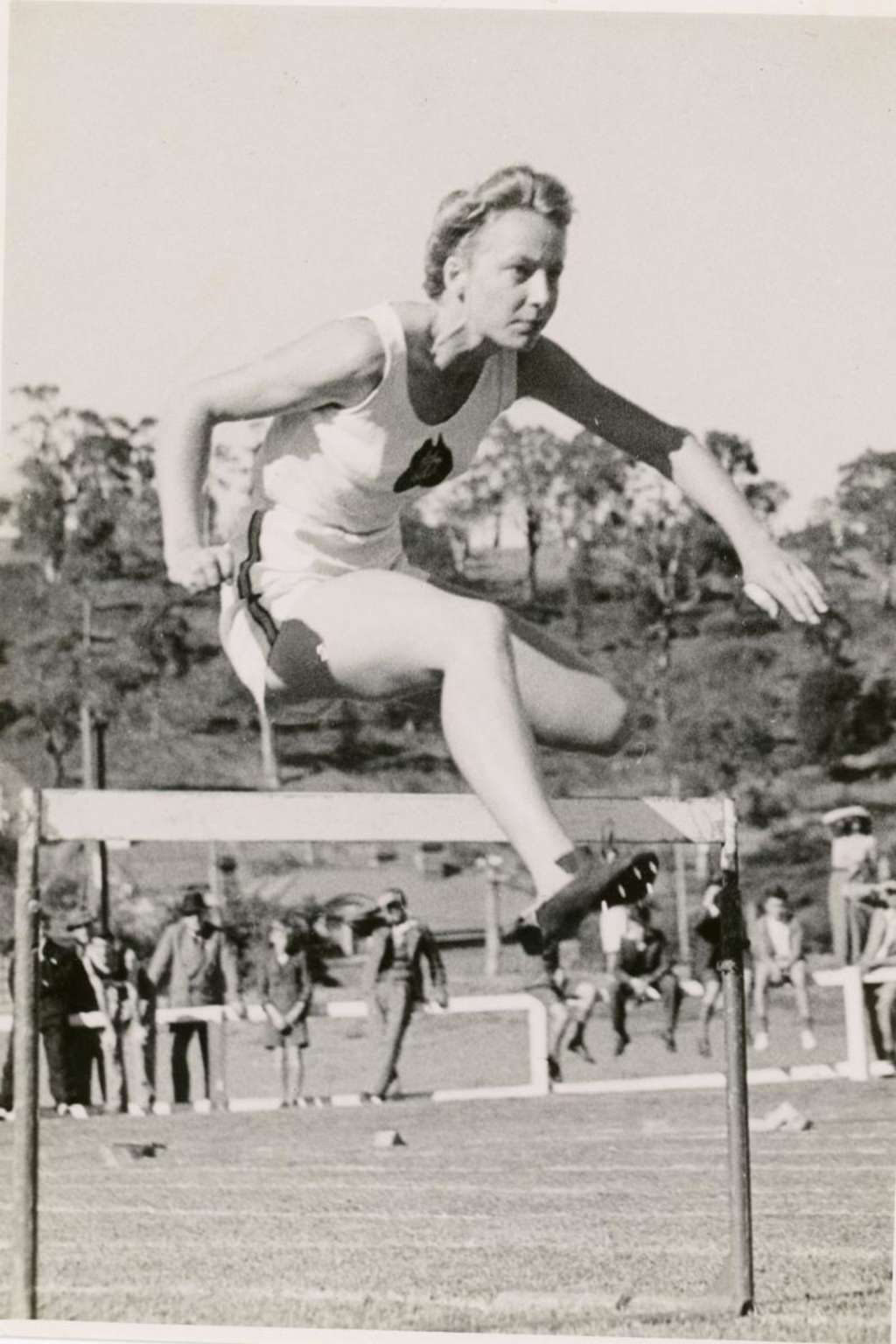 Image description