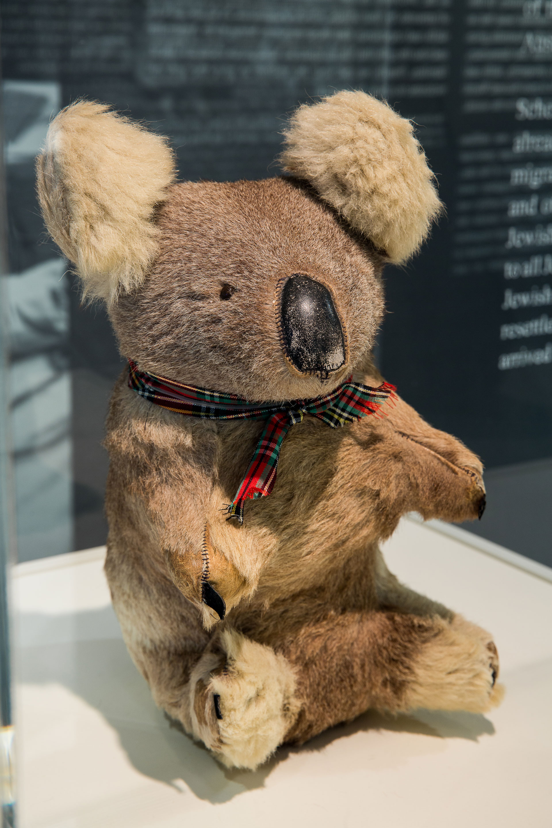 A stuffed toy koala with a leather nose. 