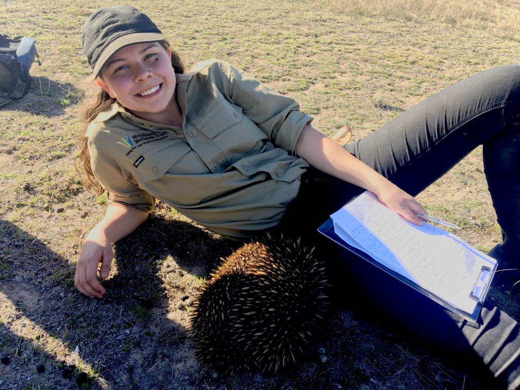 Dhani Gilbert lies on the ground, looking at the camera, with an echidna close to her Dhani Gilbert lies on the ground, looking at the camera, with an echidna close to her