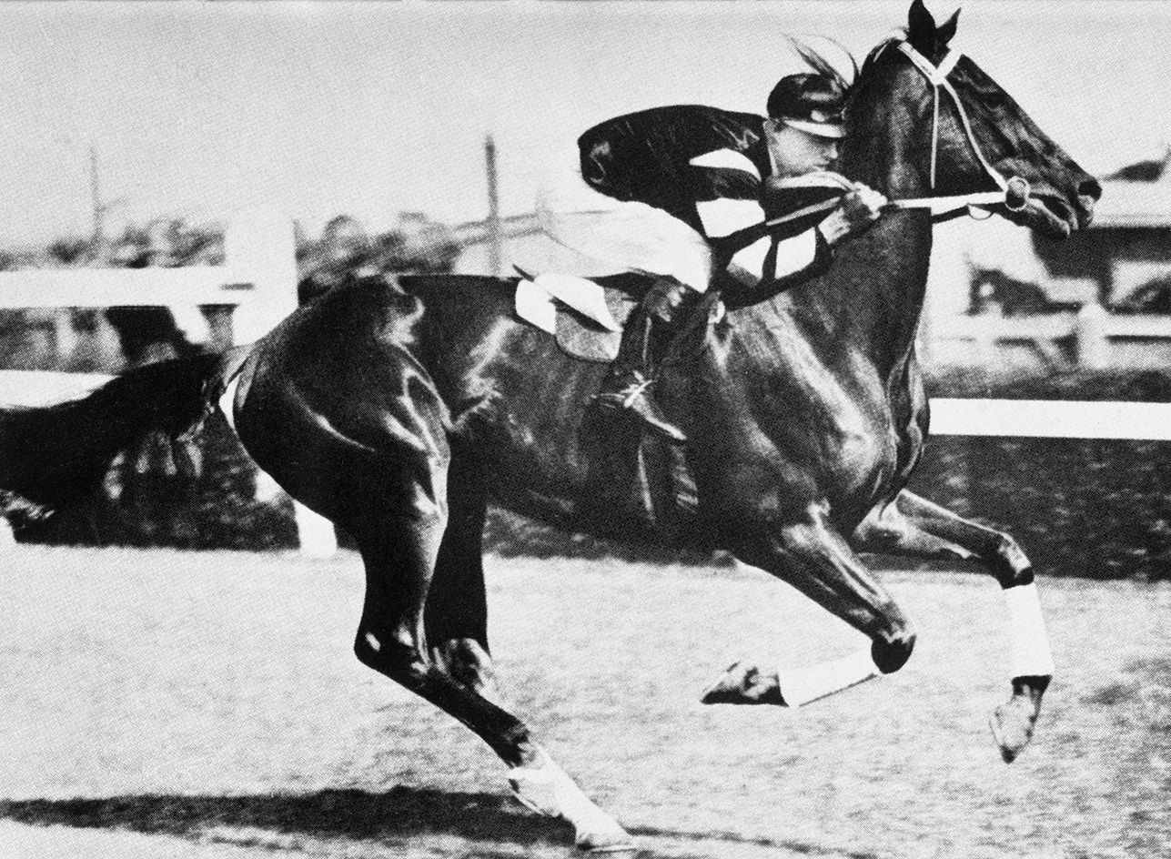 A jockey is riding on Phar Lap, who is mid-stride. A jockey is riding on Phar Lap, who is mid-stride.