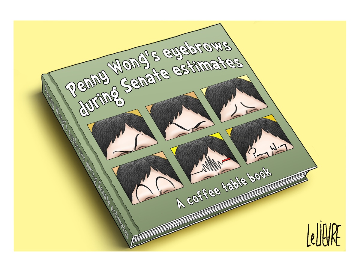 A coffee table book titled 'Penny Wong's eyebrows during Senate estimates'. Book cover has six images, each with Penny Wong's eyebrows in a different expression. A coffee table book titled 'Penny Wong's eyebrows during Senate estimates'. Book cover has six images, each with Penny Wong's eyebrows in a different expression.