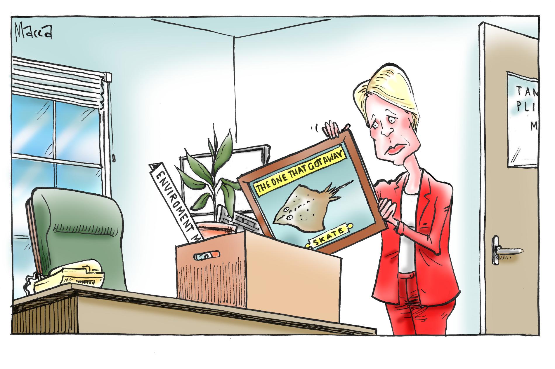 Environment Minister Tanya Plibersek packs up her office, putting a framed image of a Maugean Skate which says 'The one that got away,' into a box. 