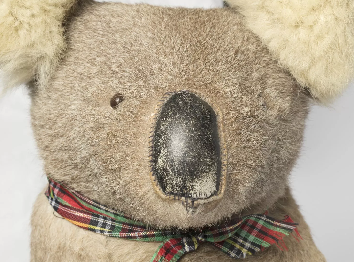 Photograph of a toy koala Photograph of a toy koala