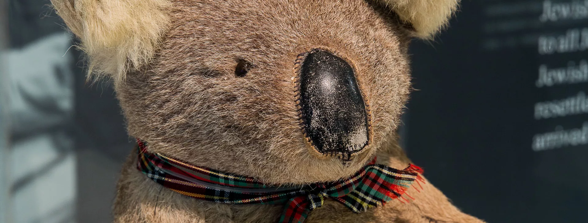 A stuffed toy koala with a leather nose. 