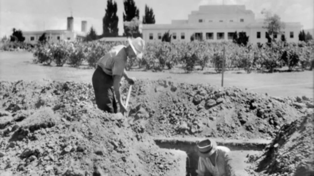 From Tulips to Trenches: Comings and goings in the Old Parliament House Gardens