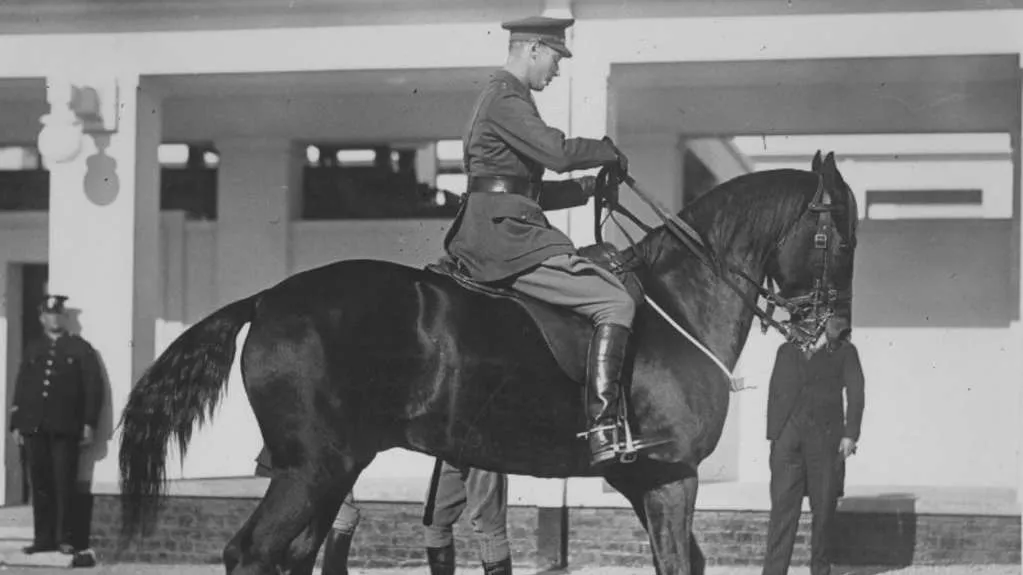 A Horse’s Tale: Bill, Bertie and Bairnsdale 303