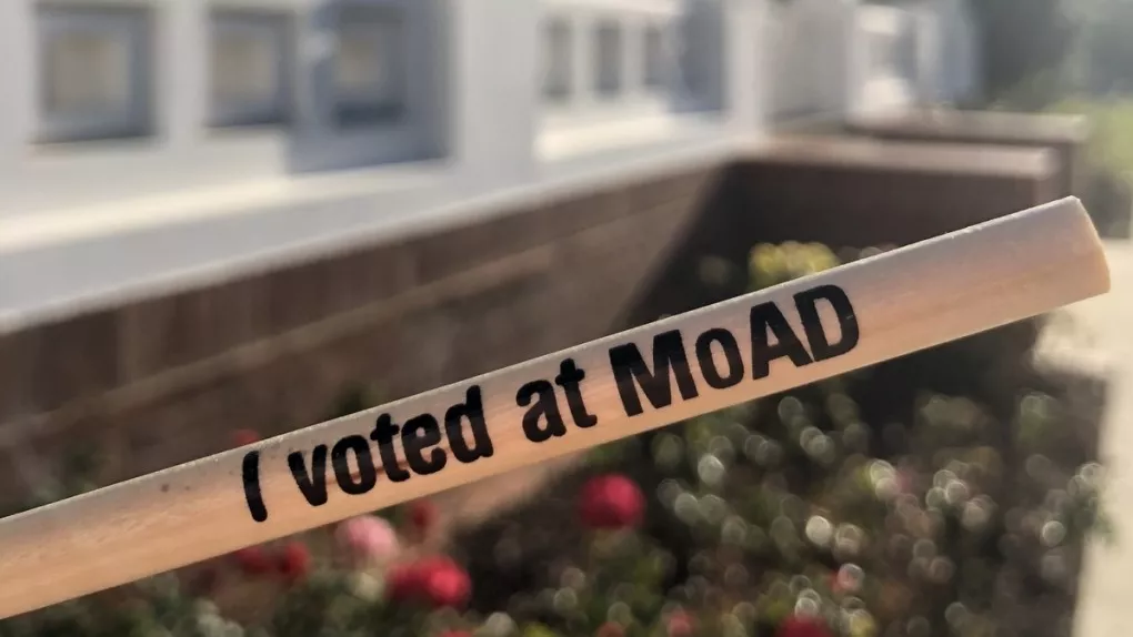 How to vote