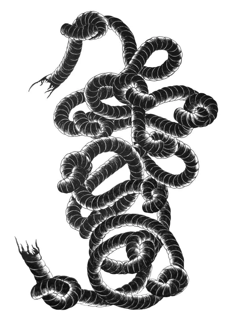 Murtaza Ali Jafari, 'Knots' A black and white drawing of a long piece of rope, tangled into knots, with both ends frayed.