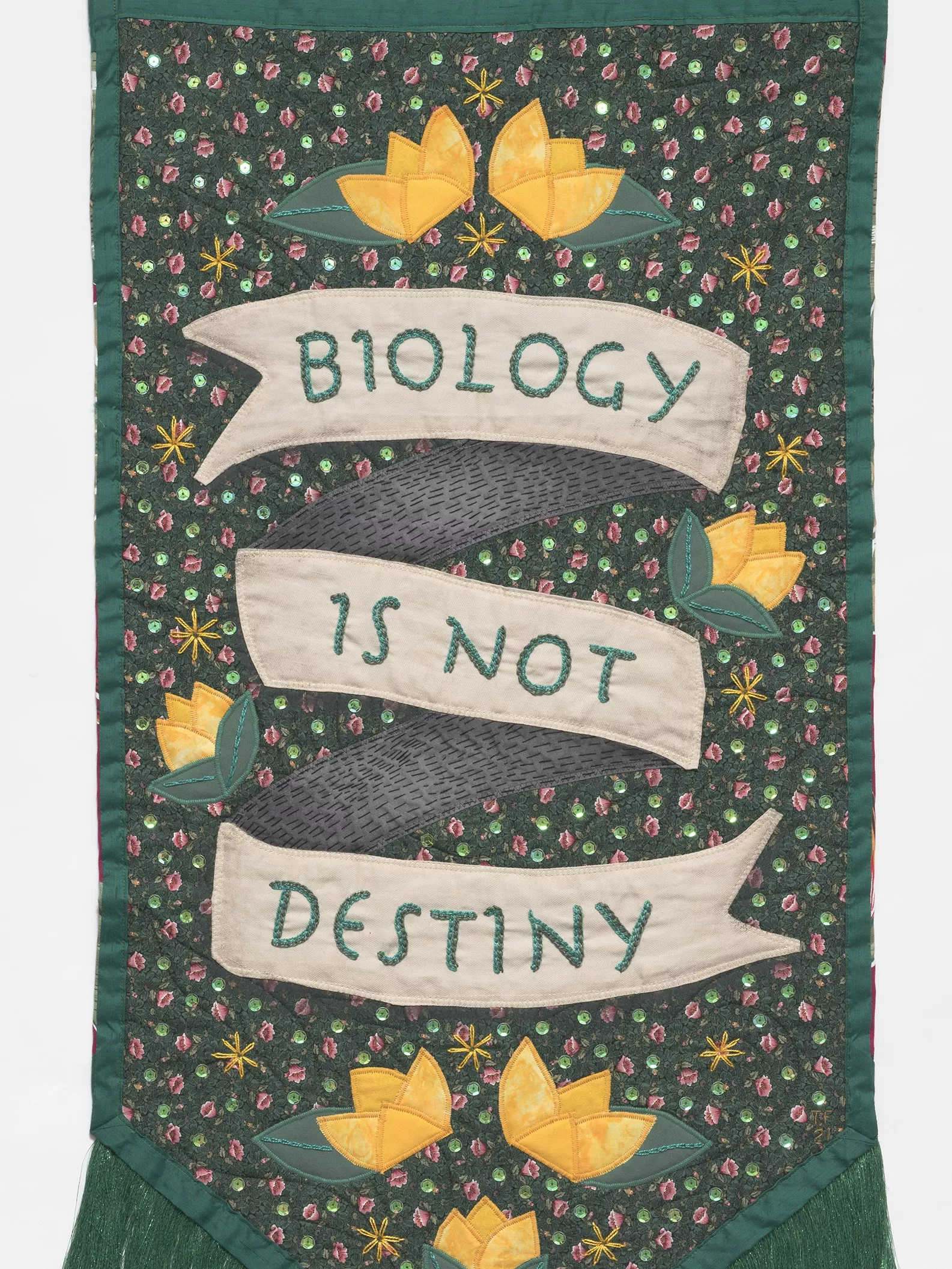 Biology is Not Destiny by Tal Fitzpatrick. A green embroidered banner with the words 'biology is not destiny'.