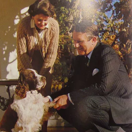Pets in the spotlight