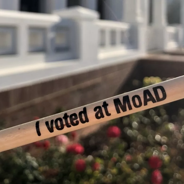 How to vote