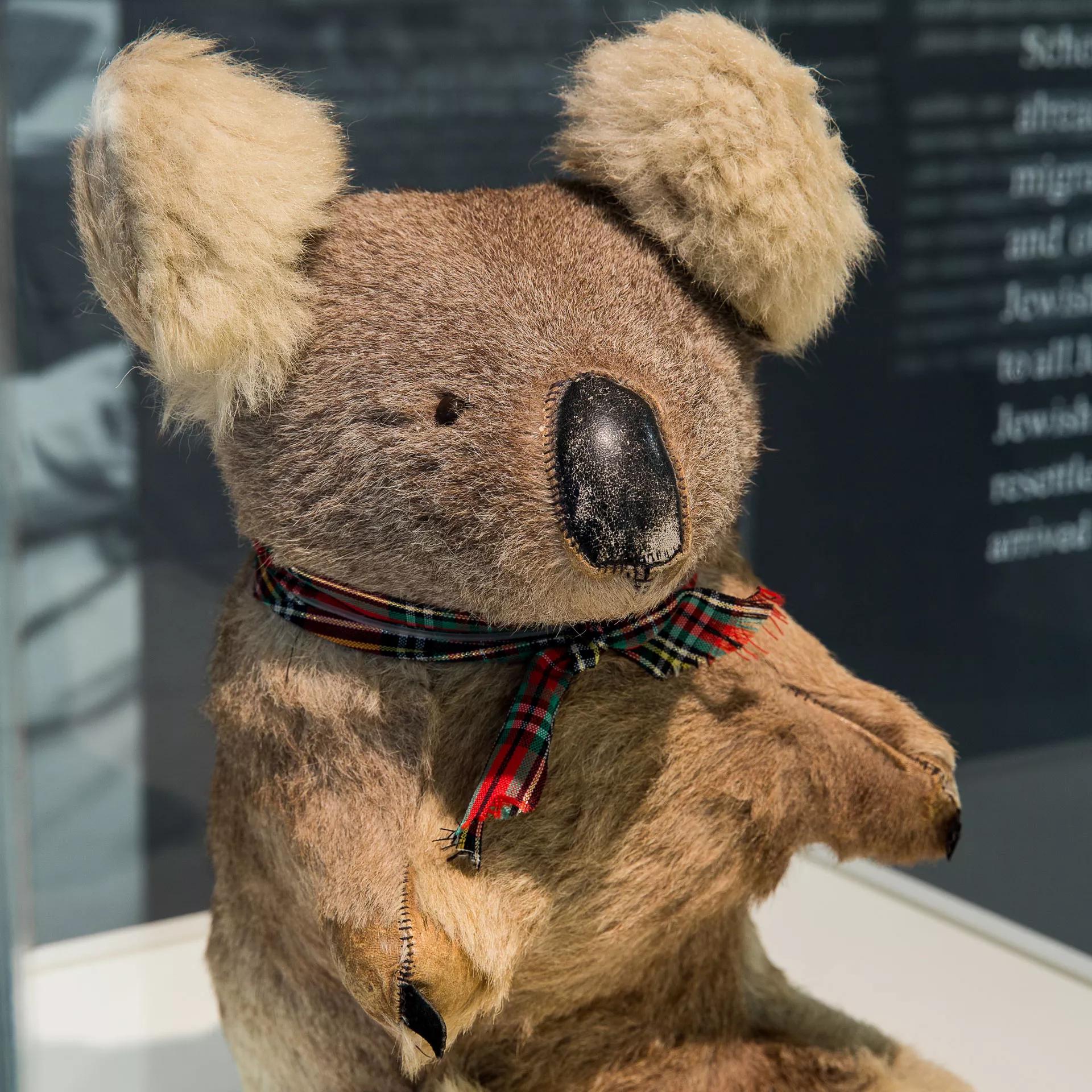 Toy koala