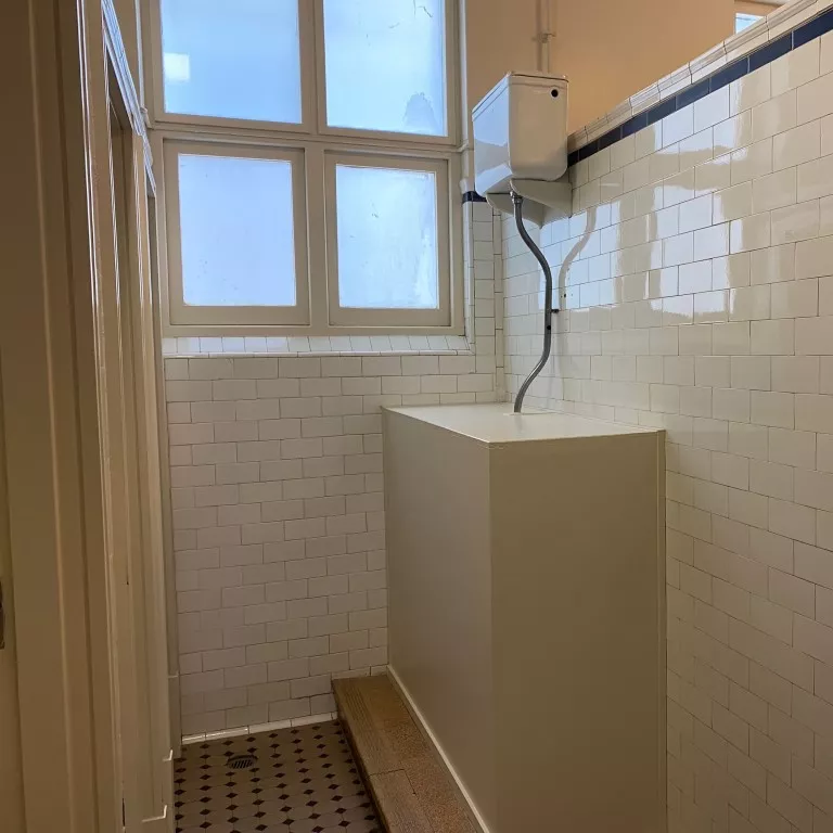 Who knew that toilets would have such a complicated history?