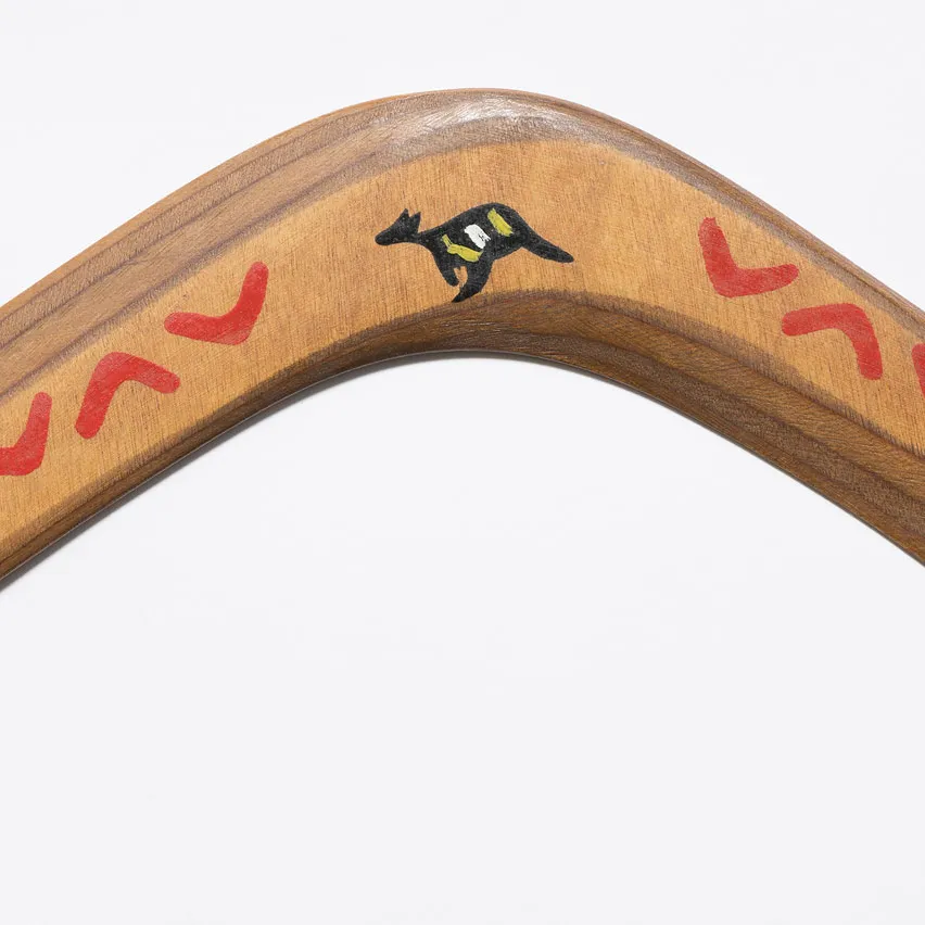 Boomerang from Space Shuttle Challenger 