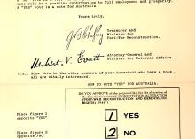 Referenda and plebiscites – what's the difference?